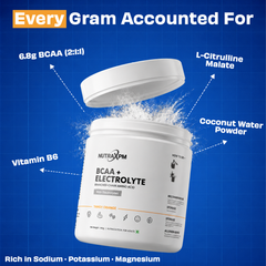 NUTRAXPM BCAA + Electrolyte – Muscle Growth | Faster Recovery | 360g | 30 Servings – Watermelon